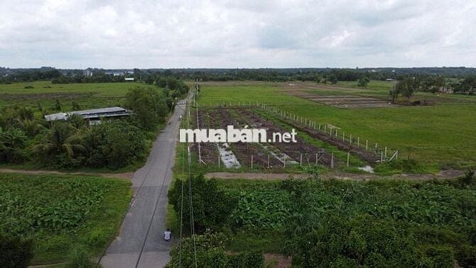 Đất củ chi chính chủ (Giá: 4tỷ850  - TL) - LH: *** (A.Bằng)