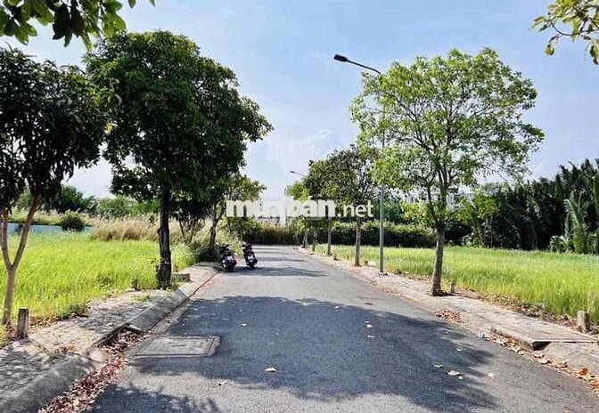 Đất mặt tiền cần tìm chủ Đ.Cây Bàng , X.Tân Kiên , BC , Full thổ ,SHR