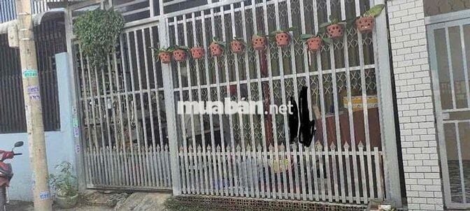 BÁN ĐẤT TẶNG KHO MT ĐƯỜNG NHỰA BÌNH NHÂM