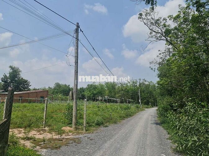 Chính chủ cần bán đất mặt tiền đường quy hoạch lộ giới 30m full thổ cư