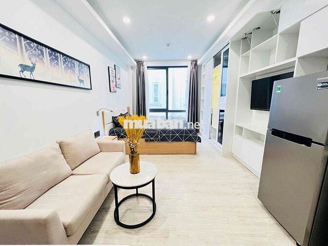 CĂN HỘ QUẬN 1, NỘI THẤT Y HÌNH, CỬA SỔ LỚN, GẦN THẢO CẦM VIÊN