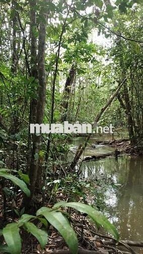Bán nhanh: 850 triệu, trọn sổ vị trí nằm gần Hồ Trị An