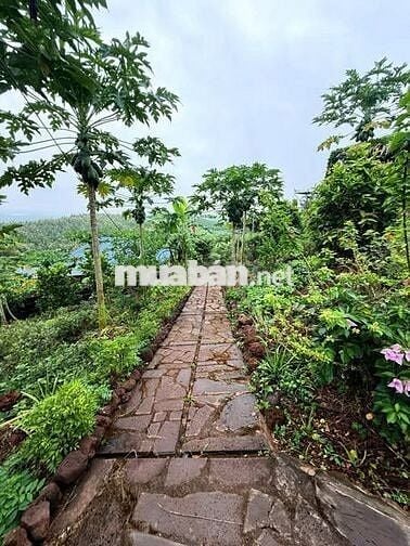 Bán nhanh: 850 triệu, trọn sổ vị trí nằm gần Hồ Trị An