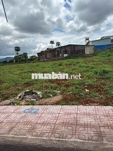 Đất nền sổ đỏ 250m2 view săn mây gần Liên Khương chỉ từ 700 triệu