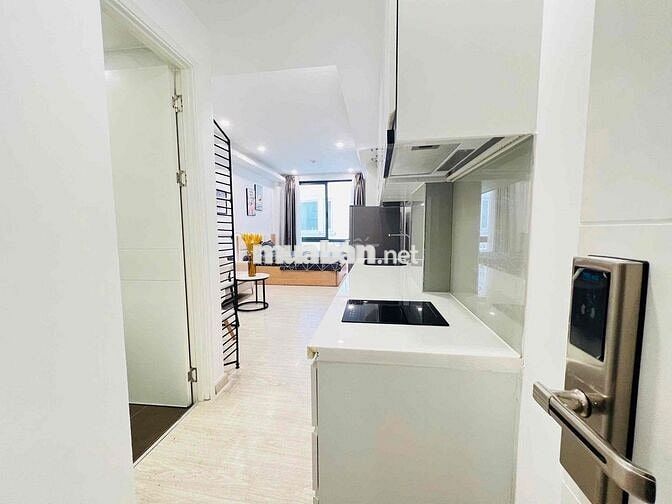 CĂN HỘ QUẬN 1, NỘI THẤT Y HÌNH, CỬA SỔ LỚN, GẦN THẢO CẦM VIÊN