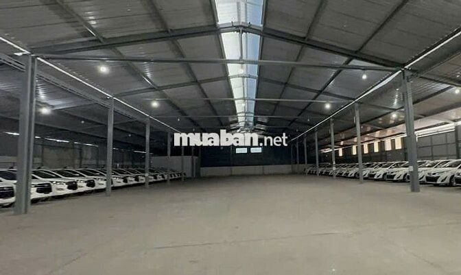 Kho diện tích lên đến 2500m2 ở Bế Văn Cấm cần cho thuê gấp