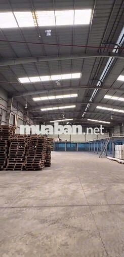 Cần cho thuê gấp kho ở Đường Đào Trí diện tích 1200m2 có pccc