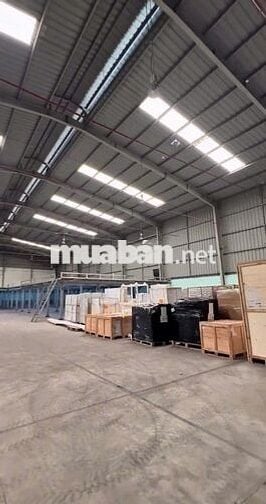 Cần cho thuê gấp kho ở Đường Đào Trí diện tích 1200m2 có pccc