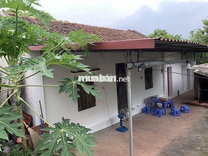 Cho Thuê Nhà 50m2 nhà,2000m2,vườn Giá 2,5tr cách TP Bắc Giang~ 6km