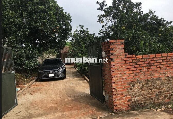 Cho Thuê Nhà 50m2 nhà,2000m2,vườn Giá 2,5tr cách TP Bắc Giang~ 6km