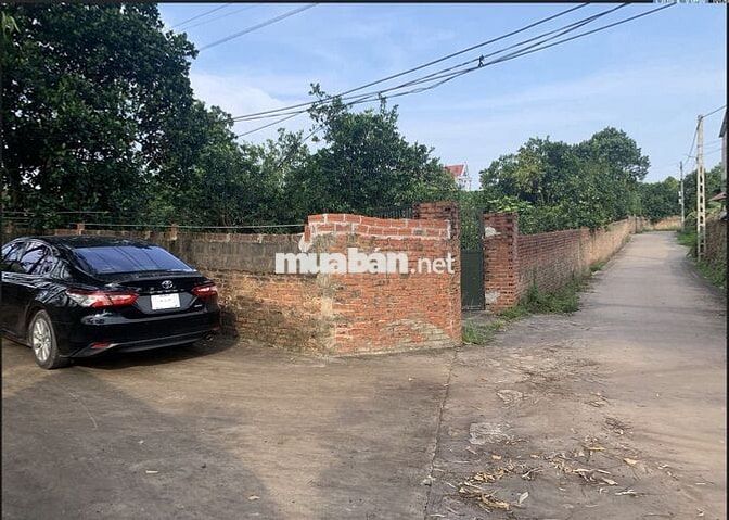 Cho Thuê Nhà 50m2 nhà,2000m2,vườn Giá 2,5tr cách TP Bắc Giang~ 6km