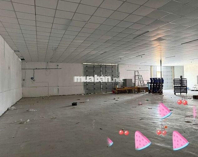 CHO THUÊ KHO 600M2 ĐƯỜNG CON40F TRẦN LA PHÔNG NỀN EPOXY CÓ VĂN PHÒNG