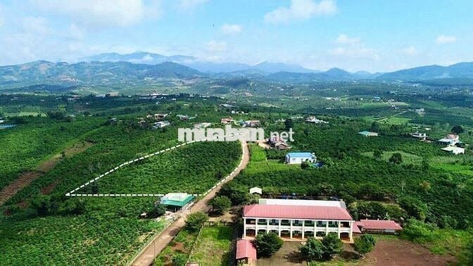 1000M LÂM ĐỒNG CÓ THỔ CƯ VIEW SĂN MÂY CHỈ 699TR ,LÀM NGHỈ DƯỠNG...