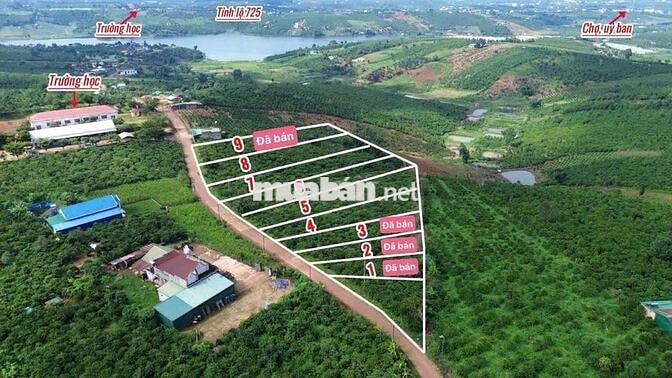 1000M LÂM ĐỒNG CÓ THỔ CƯ VIEW SĂN MÂY CHỈ 699TR ,LÀM NGHỈ DƯỠNG...