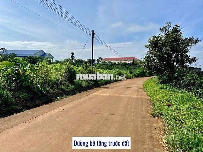 1000M LÂM ĐỒNG CÓ THỔ CƯ VIEW SĂN MÂY CHỈ 699TR ,LÀM NGHỈ DƯỠNG...