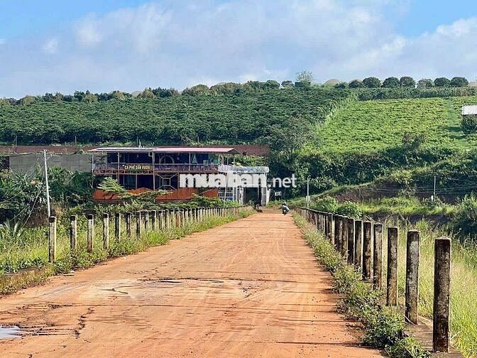 1000M LÂM ĐỒNG CÓ THỔ CƯ VIEW SĂN MÂY CHỈ 699TR ,LÀM NGHỈ DƯỠNG...