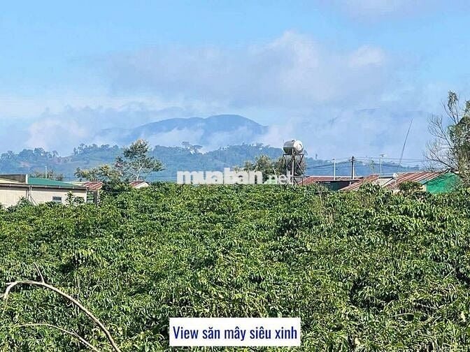 1000M LÂM ĐỒNG CÓ THỔ CƯ VIEW SĂN MÂY CHỈ 699TR ,LÀM NGHỈ DƯỠNG...