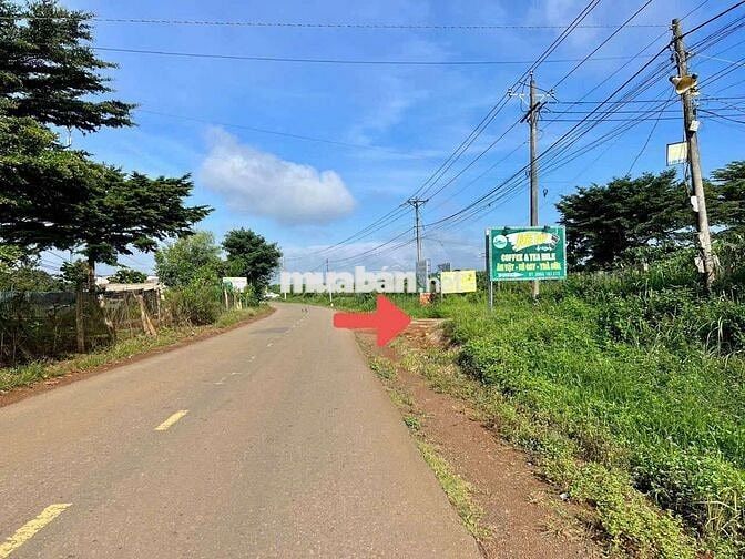 1000M LÂM ĐỒNG CÓ THỔ CƯ VIEW SĂN MÂY CHỈ 699TR ,LÀM NGHỈ DƯỠNG...