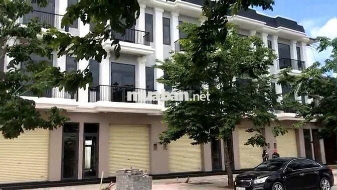 🌟 DỰ ÁN HOT – THE DIAMOND CITY ĐỨC HOÀ – LONG AN 🌟