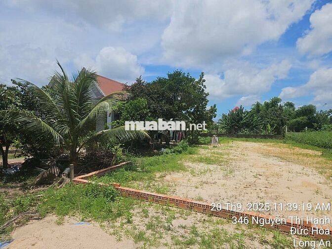 chính chủ bán Đất mặt tiền Nguyễn Thị Hạnh sát Vin 197Ha Hậu Nghĩa