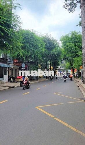 223 Tôn Thất Hiệp Q11 4.5x15m 3L 6pn 5wc
