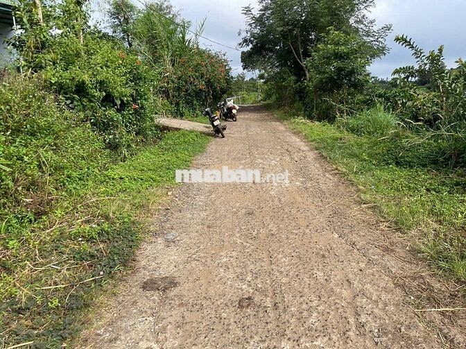 Đất nông nghiệp mặt tiền bê tông nhựa thị xã Buôn Hồ, Daklak