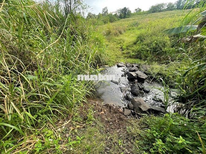 Đất nông nghiệp mặt tiền bê tông nhựa thị xã Buôn Hồ, Daklak