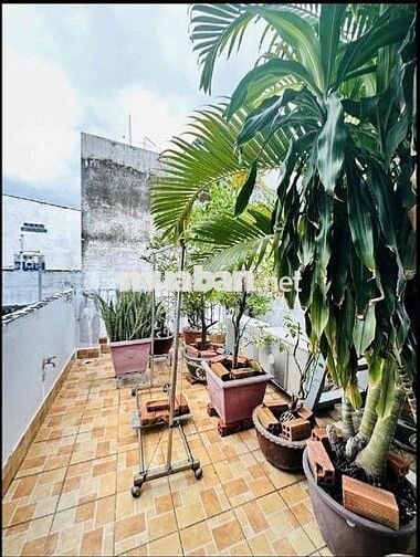 🔥 GIẢM 100 TRIỆU - LÝ THÁI TỔ- 4 TẦNG - MỚI ĐẸP - HƠN 6 tỷ Xíu .   +