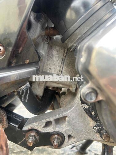 Nouvo 4 siêu cọp. bao sang tên, bao hồ sơ… Sưu Tầm