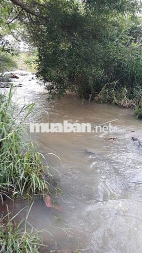 Đất nông nghiệp mặt tiền bê tông nhựa thị xã Buôn Hồ, Daklak