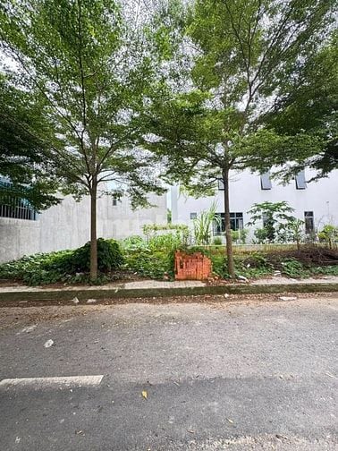 KDC TÂN TRIỀU – SỔ RIÊNG THỔ CƯ CHỈ CẦN 500TR CÓ NGAY ĐẤT
