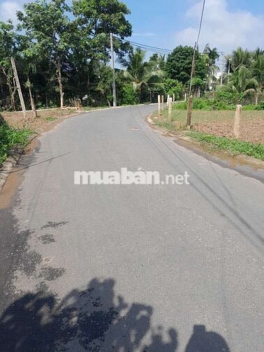 Đất mặt tiền nhựa Bình thành, tân mĩ chánh