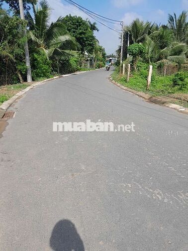 Đất mặt tiền nhựa Bình thành, tân mĩ chánh