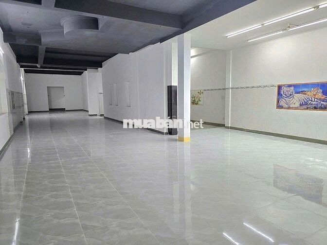 Cho thuê mặt bằng Cách Mạng Tháng 8, Thủ Dầu Một