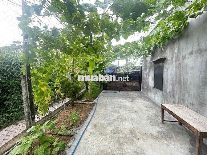 NHÀ VƯỜN CẤP 4 - PHƯỜNG PHÚ YÊN