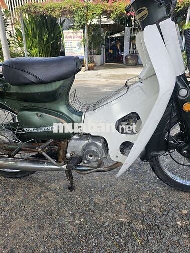 Cần bán xe cub 81 50cc