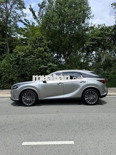 LEXUS RX350 LUXURY – Model 2024