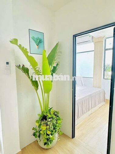 ✨️CHO THUÊ CĂN HỘ CAO CẤP FULL NT 2PN QUANG TRUNG, GÒ VẤP✨️