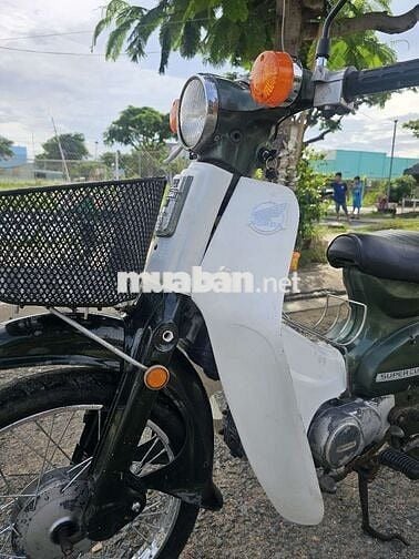 Cần bán xe cub 81 50cc
