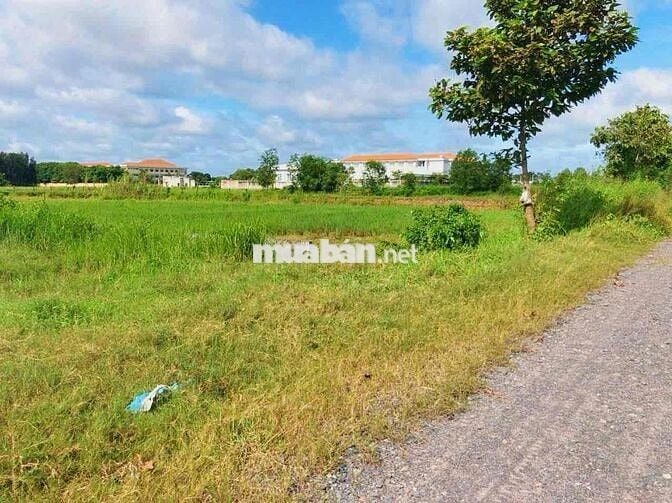 “Đầu tư ngay – Lô đất 135m² sát Trường THCS Phước Hiệp tiềm năng