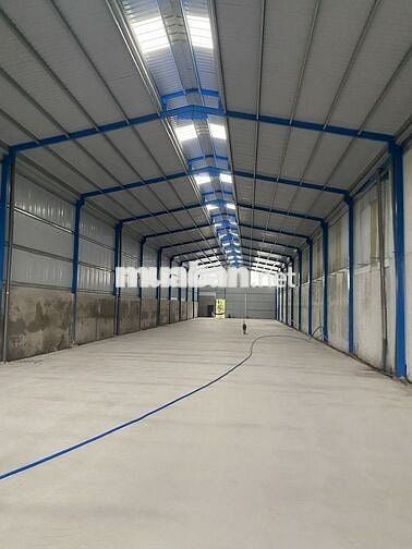 Cho thuê làm showroom, kho hoặc nhà xưởng
