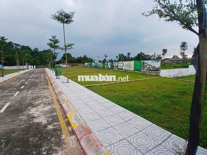 Bán 100m đất F0 phân lô QL21, Cổ Đông, Sơn Tây đầu tư sinh lời 2,9 tỷ