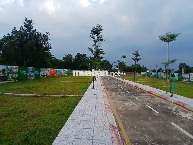 Bán 100m đất F0 phân lô QL21, Cổ Đông, Sơn Tây đầu tư sinh lời 2,9 tỷ