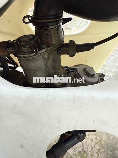 Cub 79 bstp zin đẹp 3 số tới