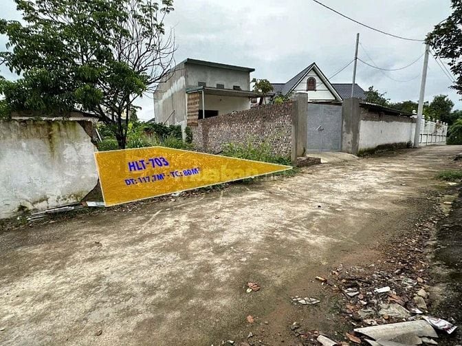 Bán đất thổ cư tại Đạo Tú, Tam Dương, Vĩnh Phúc 