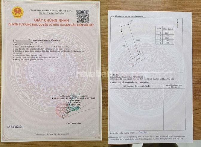 Bán đất thổ cư tại Đạo Tú, Tam Dương, Vĩnh Phúc 