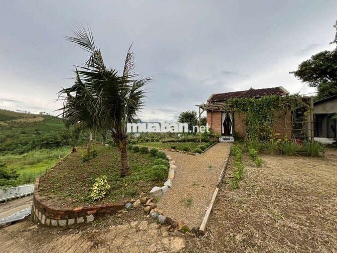 Siêu phẩm vị trí đẹp, mặt tiền đường nhựa Blaosire Đại lào