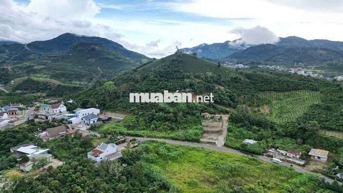 Siêu phẩm vị trí đẹp, mặt tiền đường nhựa Blaosire Đại lào