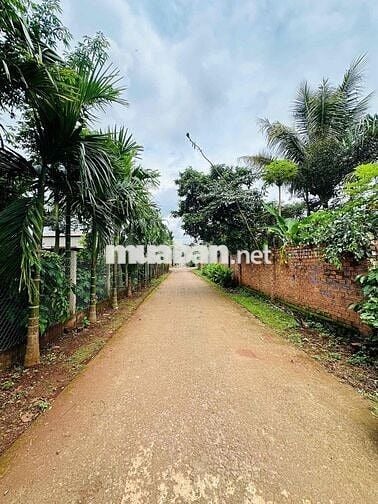 Đất mặt đường D3 Buôn Ju (6x30m) ko khuyết điểm
