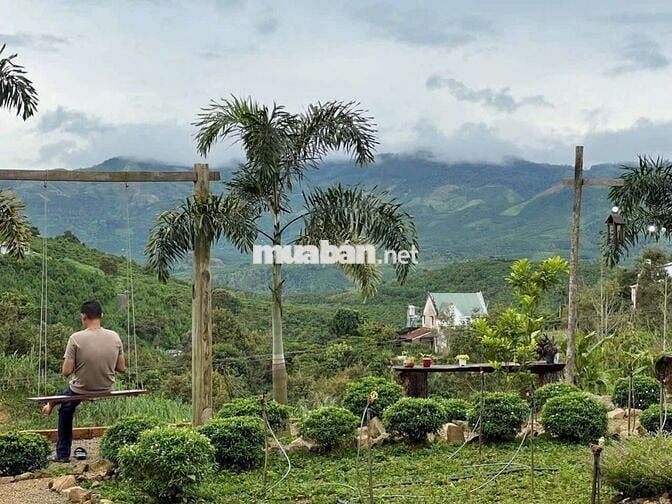 Siêu phẩm vị trí đẹp, mặt tiền đường nhựa Blaosire Đại lào